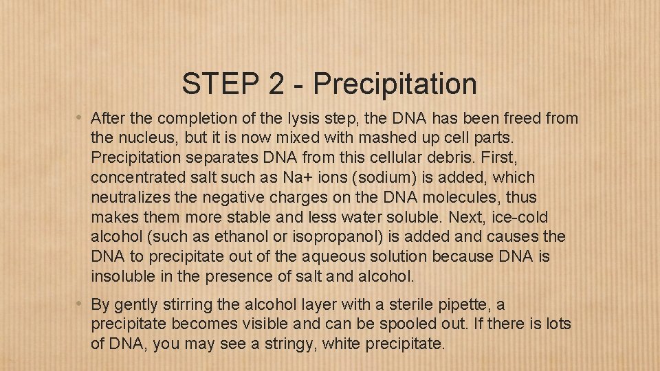 STEP 2 - Precipitation • After the completion of the lysis step, the DNA