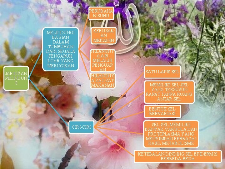 PERUBAHA N SUHU MELINDUNGI BAGIAN DALAM TUMBUHAN DARI SEGALA PENGARUH LUAR YANG MERUGIKAN JARINGAN PERUBAHA N SUHU MELINDUNGI BAGIAN DALAM TUMBUHAN DARI SEGALA PENGARUH LUAR YANG MERUGIKAN JARINGAN