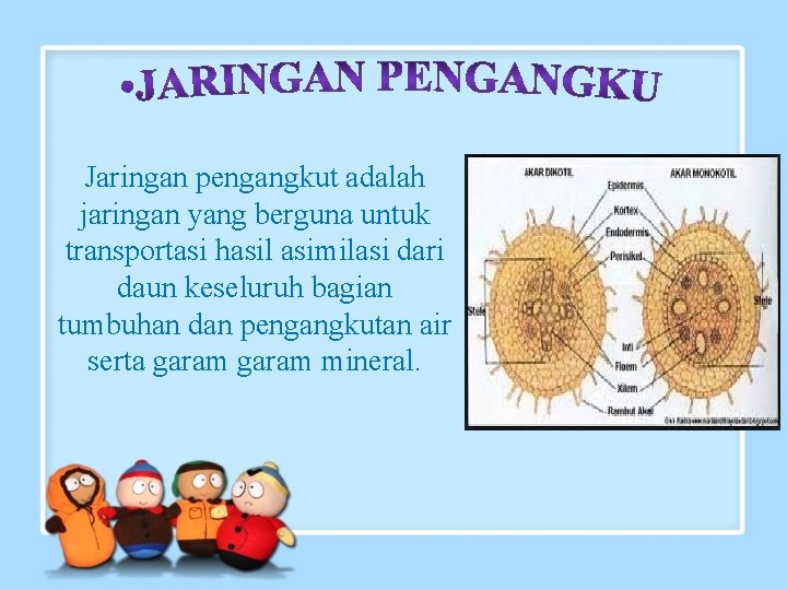 Jaringan pengangkut adalah jaringan yang berguna untuk transportasi hasil asimilasi dari daun keseluruh bagian