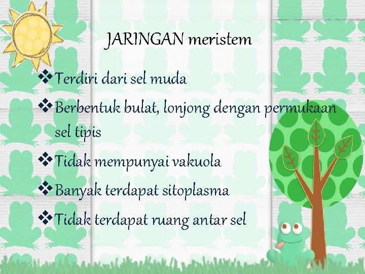 JARINGAN meristem v. Terdiri dari sel muda v. Berbentuk bulat, lonjong dengan permukaan sel JARINGAN meristem v. Terdiri dari sel muda v. Berbentuk bulat, lonjong dengan permukaan sel