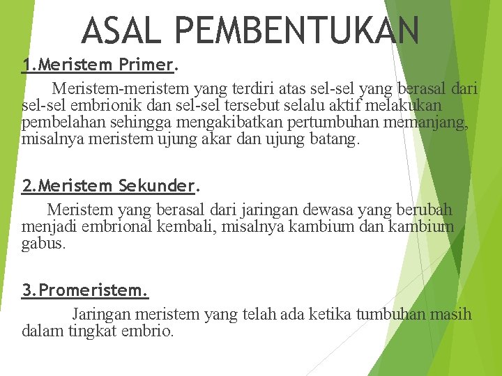ASAL PEMBENTUKAN 1. Meristem Primer. Meristem-meristem yang terdiri atas sel-sel yang berasal dari sel-sel ASAL PEMBENTUKAN 1. Meristem Primer. Meristem-meristem yang terdiri atas sel-sel yang berasal dari sel-sel