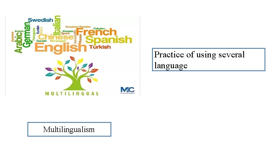 Practice of using several language Multilingualism 