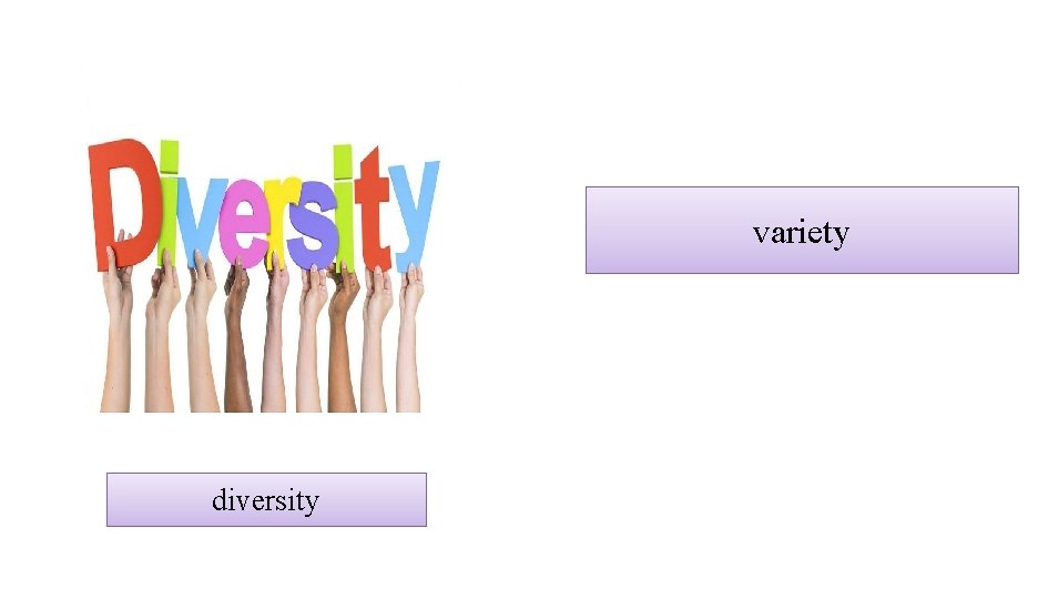 variety diversity 