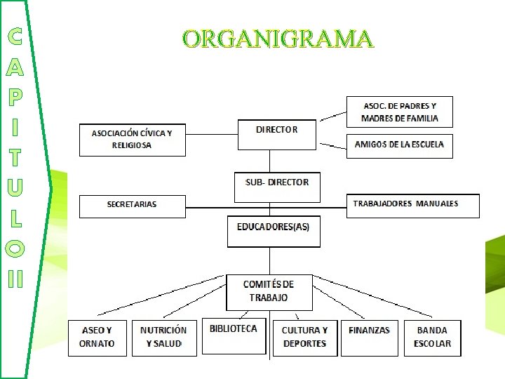 C A P I T U L O II ORGANIGRAMA 