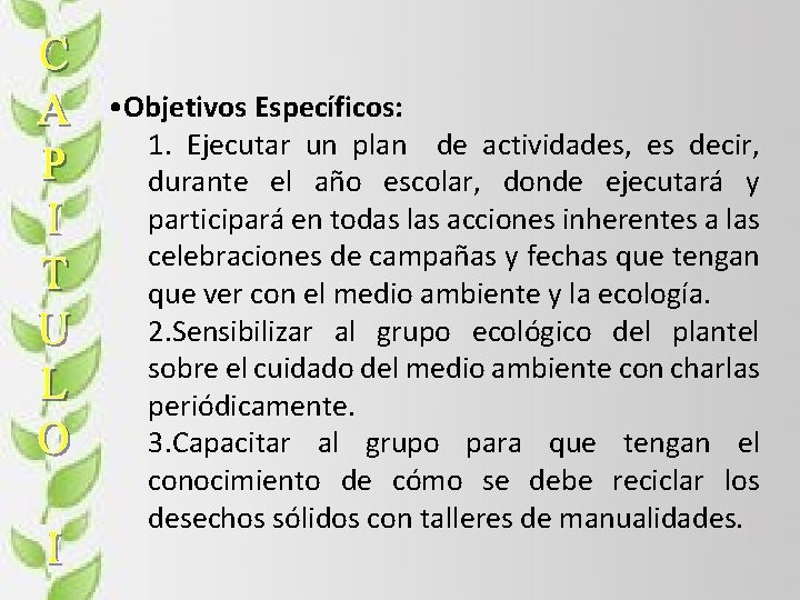  • Objetivos Específicos: 1. Ejecutar un plan de actividades, es decir, durante el