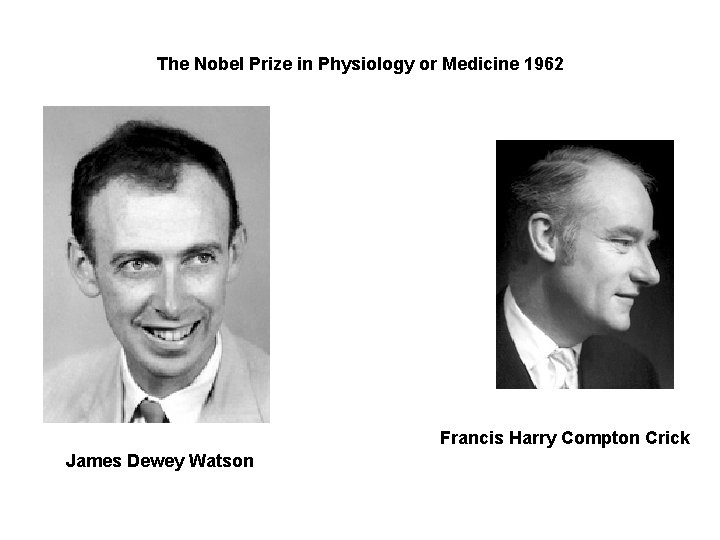 The Nobel Prize in Physiology or Medicine 1962 Francis Harry Compton Crick James Dewey