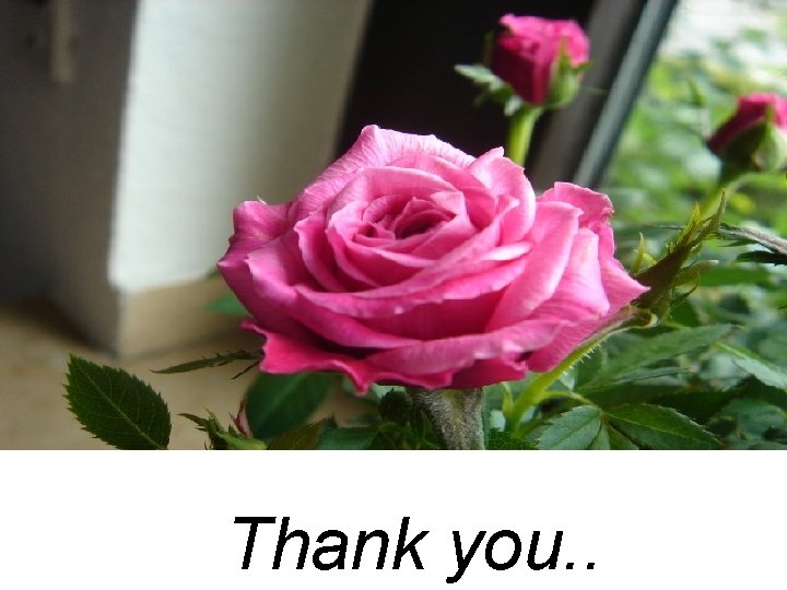 Thank you. . 