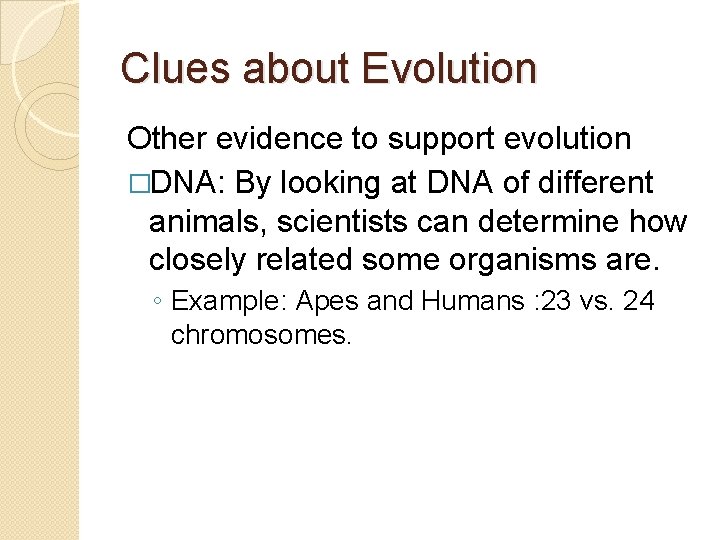 Clues about Evolution Other evidence to support evolution �DNA: By looking at DNA of