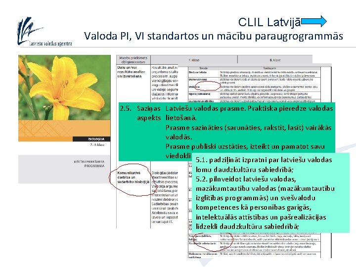 CLIL Latvijā Valoda PI, VI standartos un mācību paraugrogrammās 2. 5. Saziņas Latviešu valodas