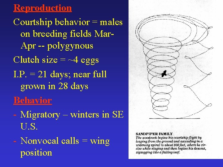 Reproduction Courtship behavior = males on breeding fields Mar. Apr -- polygynous Clutch size