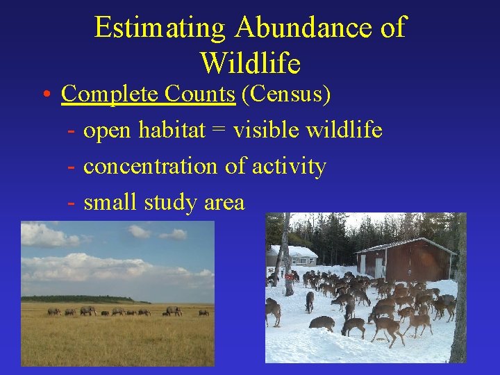 Estimating Abundance of Wildlife • Complete Counts (Census) - open habitat = visible wildlife
