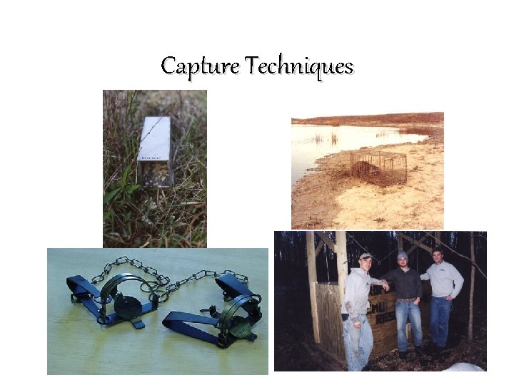 Capture Techniques 