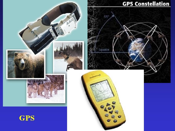 GPS 