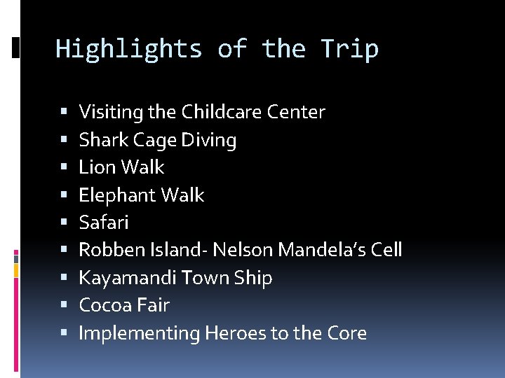 Highlights of the Trip Visiting the Childcare Center Shark Cage Diving Lion Walk Elephant