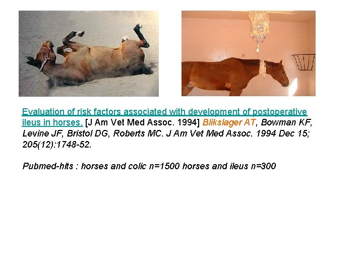 Evaluation of risk factors associated with development of postoperative ileus in horses. [J Am