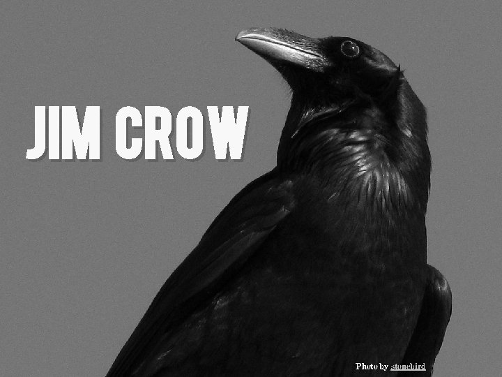 Jim Crow Photo by stonebird 