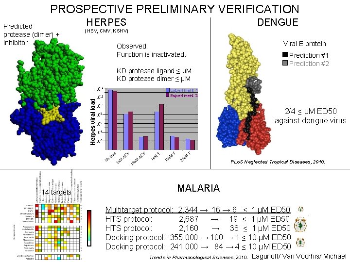 PROSPECTIVE PRELIMINARY VERIFICATION Predicted protease (dimer) + inhibitor: DENGUE HERPES (HSV, CMV, KSHV) Viral