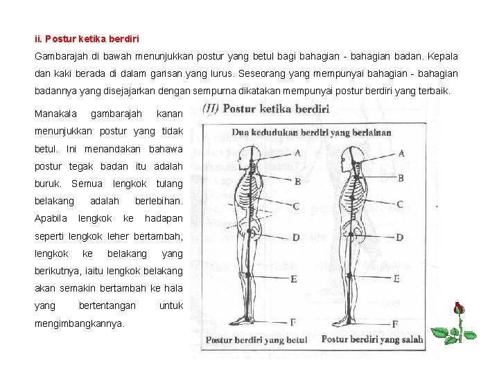 ii. Postur ketika berdiri Gambarajah di bawah menunjukkan postur yang betul bagi bahagian -