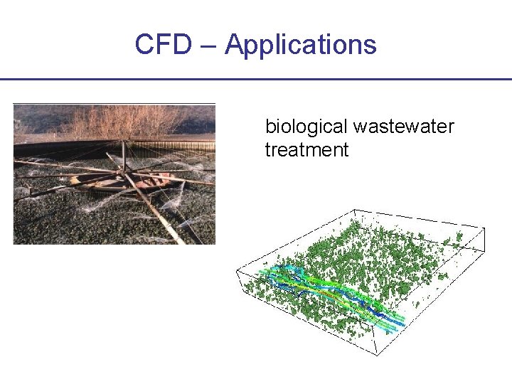 CFD – Applications biological wastewater treatment 