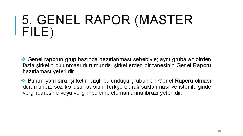 5. GENEL RAPOR (MASTER FILE) v Genel raporun grup bazında hazırlanması sebebiyle; aynı gruba