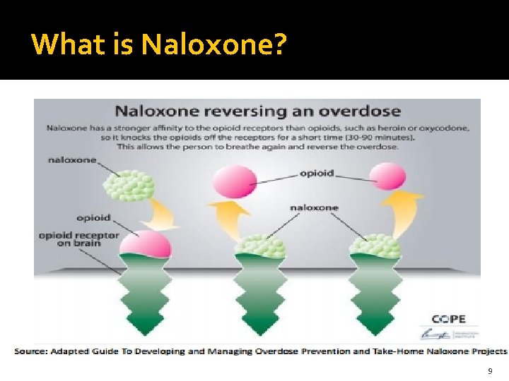 What is Naloxone? 9 