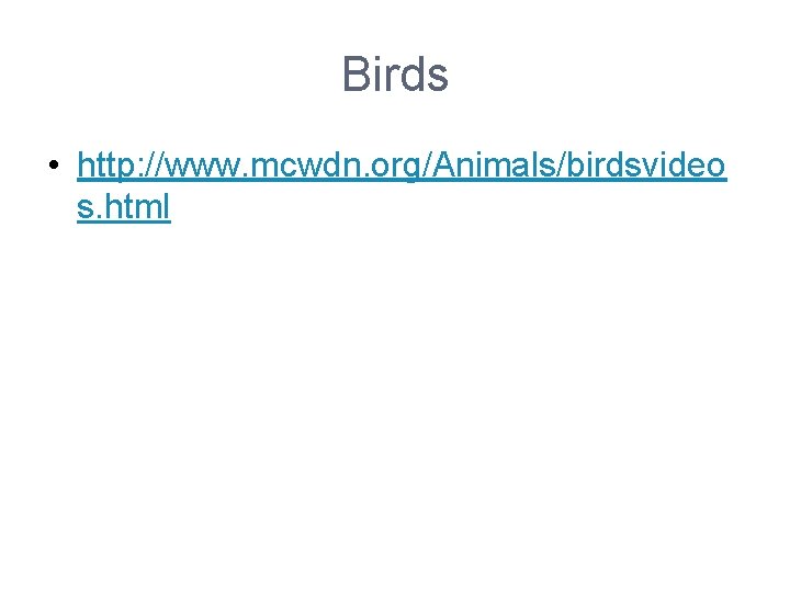 Birds • http: //www. mcwdn. org/Animals/birdsvideo s. html 