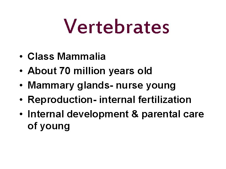 Vertebrates • • • Class Mammalia About 70 million years old Mammary glands- nurse