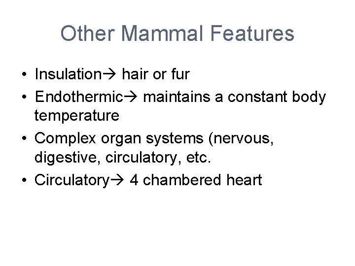 Other Mammal Features • Insulation hair or fur • Endothermic maintains a constant body