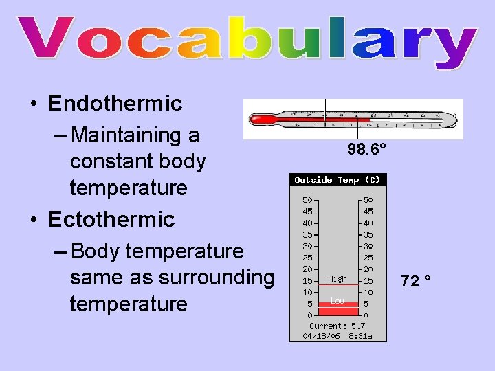  • Endothermic – Maintaining a constant body temperature • Ectothermic – Body temperature
