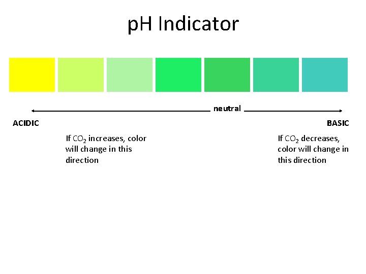 p. H Indicator neutral ACIDIC BASIC If CO 2 increases, color will change in