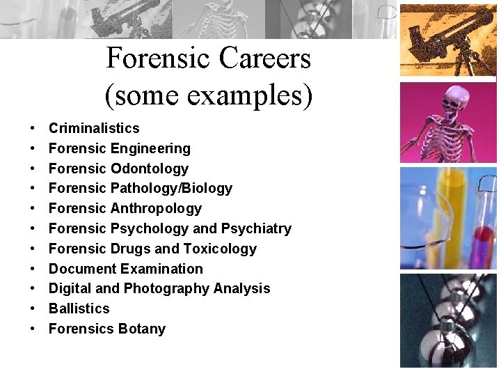 Forensic Careers (some examples) • • • Criminalistics Forensic Engineering Forensic Odontology Forensic Pathology/Biology