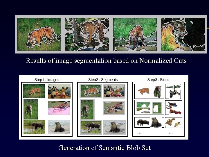 Results of image segmentation based on Normalized Cuts Generation of Semantic Blob Set 