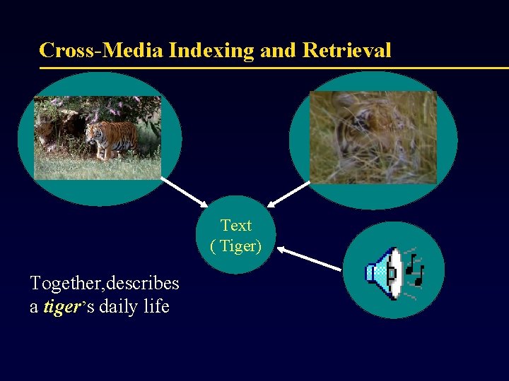Cross-Media Indexing and Retrieval Text ( Tiger) Together, describes a tiger’s daily life 