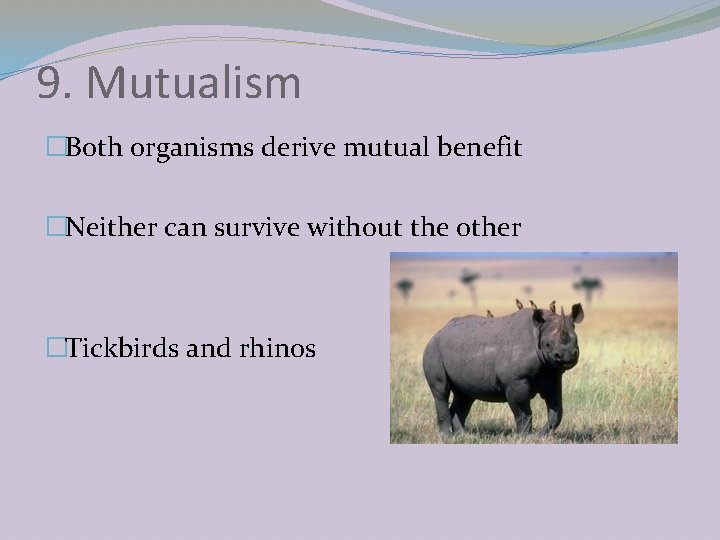 9. Mutualism �Both organisms derive mutual benefit �Neither can survive without the other �Tickbirds