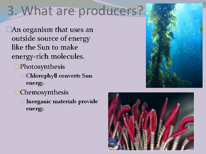 3. What are producers? �An organism that uses an outside source of energy like