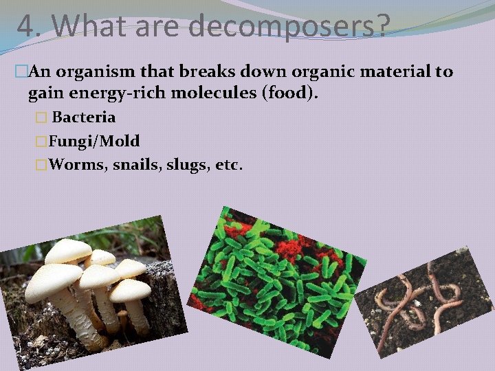 4. What are decomposers? �An organism that breaks down organic material to gain energy-rich