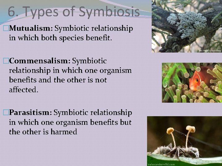 6. Types of Symbiosis �Mutualism: Symbiotic relationship in which both species benefit. �Commensalism: Symbiotic