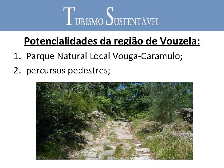 Potencialidades da região de Vouzela: 1. Parque Natural Local Vouga-Caramulo; 2. percursos pedestres; 