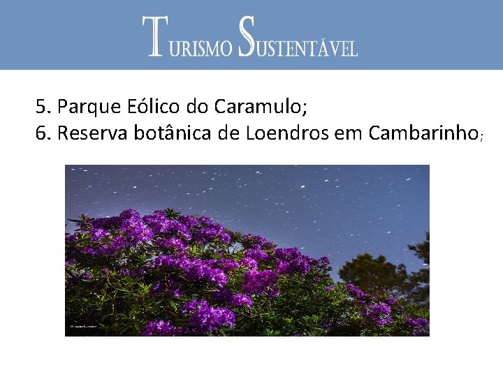 5. Parque Eólico do Caramulo; 6. Reserva botânica de Loendros em Cambarinho; 