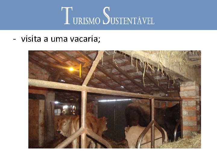 - visita a uma vacaria; 