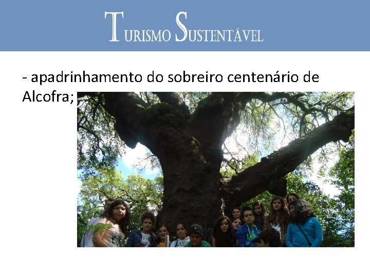 - apadrinhamento do sobreiro centenário de Alcofra; 