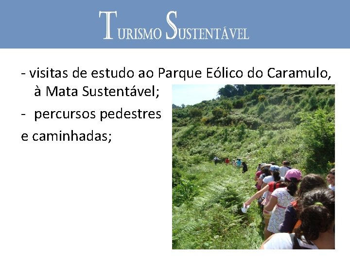 - visitas de estudo ao Parque Eólico do Caramulo, à Mata Sustentável; - percursos