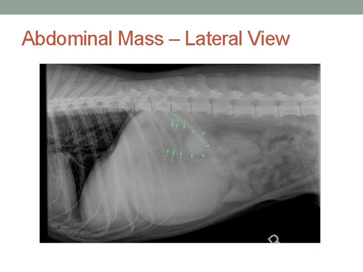 Abdominal Mass – Lateral View 