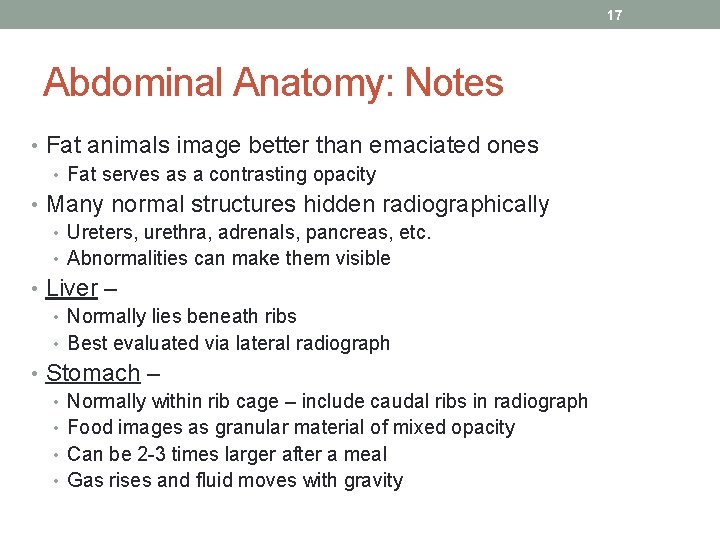 17 Abdominal Anatomy: Notes • Fat animals image better than emaciated ones • Fat