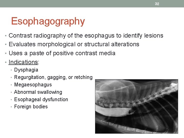 32 Esophagography • Contrast radiography of the esophagus to identify lesions • Evaluates morphological