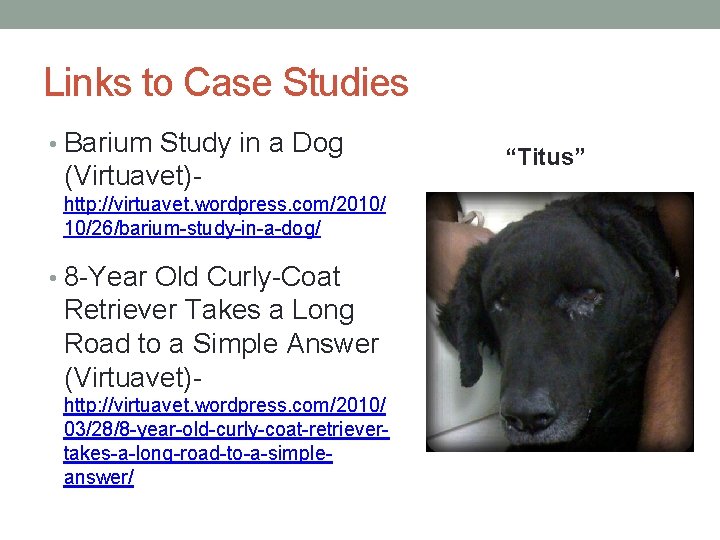 Links to Case Studies • Barium Study in a Dog (Virtuavet)- http: //virtuavet. wordpress.