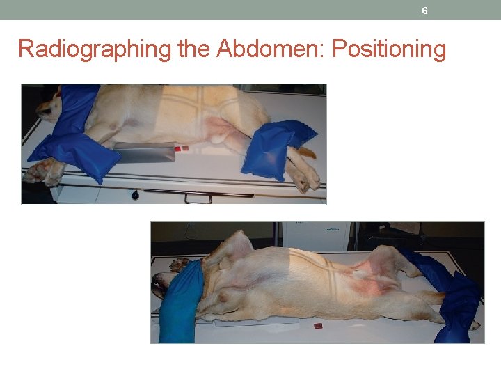 6 Radiographing the Abdomen: Positioning 