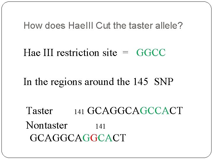 How does Hae. III Cut the taster allele? Hae III restriction site = GGCC