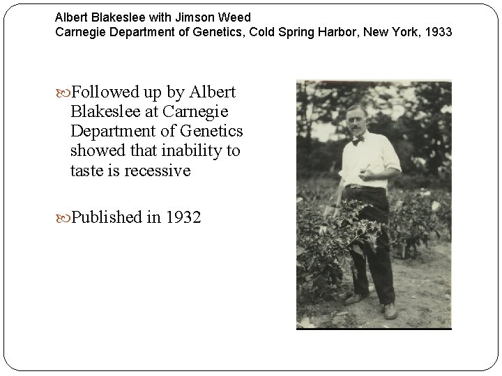 Albert Blakeslee with Jimson Weed Carnegie Department of Genetics, Cold Spring Harbor, New York,