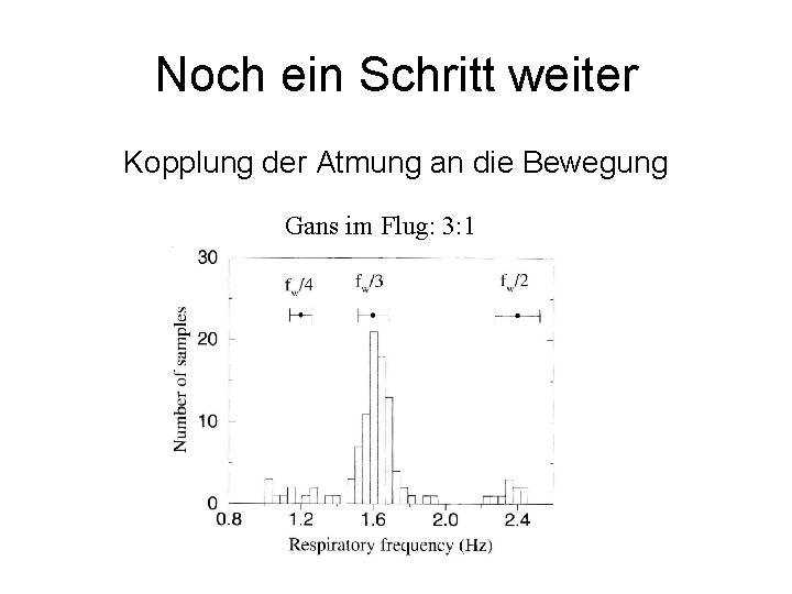 Noch ein Schritt weiter Kopplung der Atmung an die Bewegung Gans im Flug: 3: